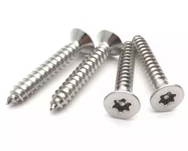 316 Stainless Steel Deck Screws