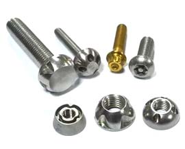 Anti Theft Nuts and Bolts