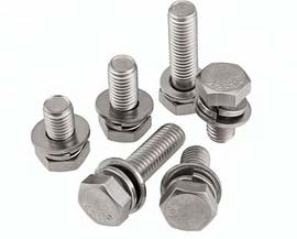 Bolt With Lock Washer