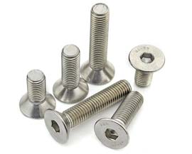 Commercially Pure Titanium Countersunk Bolts