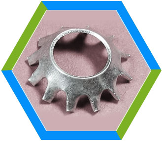 Countersunk External Tooth Lock Washers