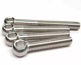 Stainless Steel Eye Bolts