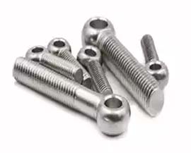 SS Forged Eye Bolts