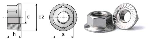 ISO 4161 Dimensions