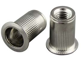A193 Grade B8 Class 2 Threaded Nut Insert