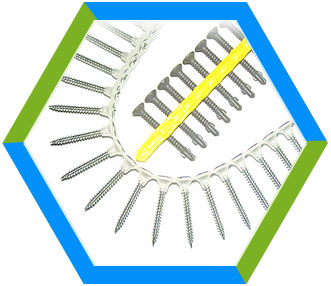 Collated Screw