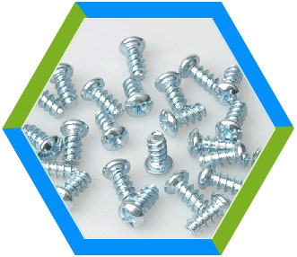 Euro Screw