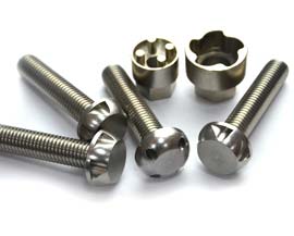 Anti Theft Nut Bolt
