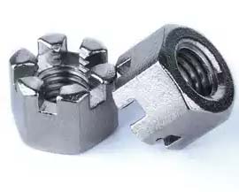 Stainless Steel Hex Castle Nut