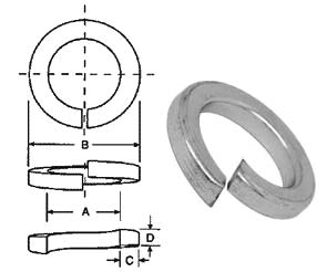 SS 316 Spring Washer Dimensions