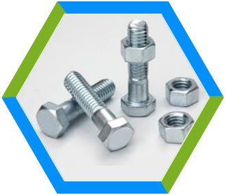 SS Bolts