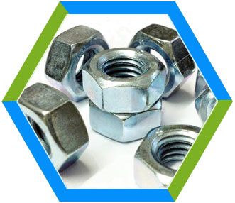 SS Fasteners