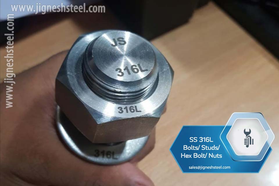 Stainless Steel 316L Bolts and Nuts