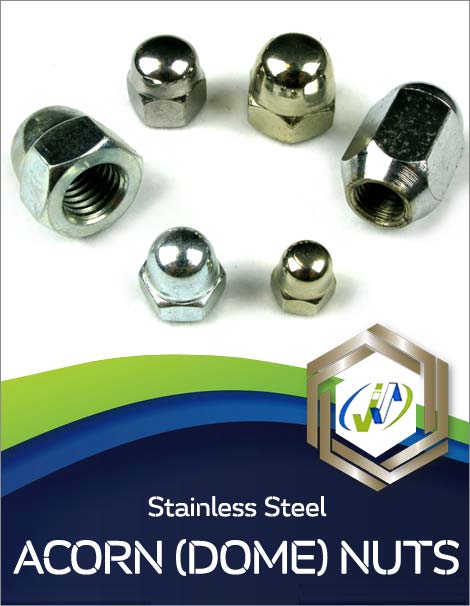 Stainless Steel Acorn Nuts