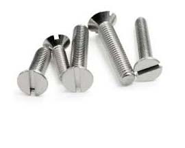 SS 304 Csk Screw