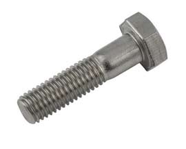 SS Hexagonal bolt