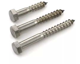 Stainless Steel Hex Head Screw