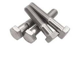 Stainless Steel Hex Screw